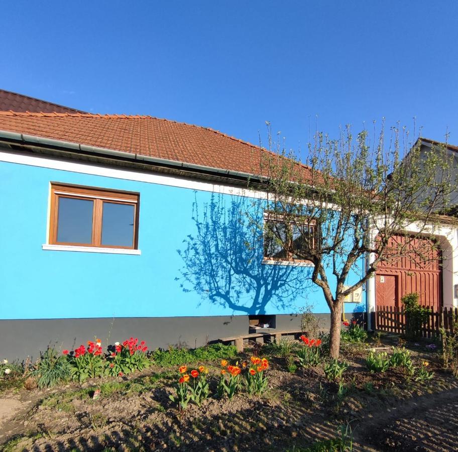 Blue Home Felek Kültér fotó